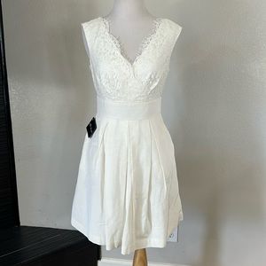 White House Black Market Lace Full skirt Dress